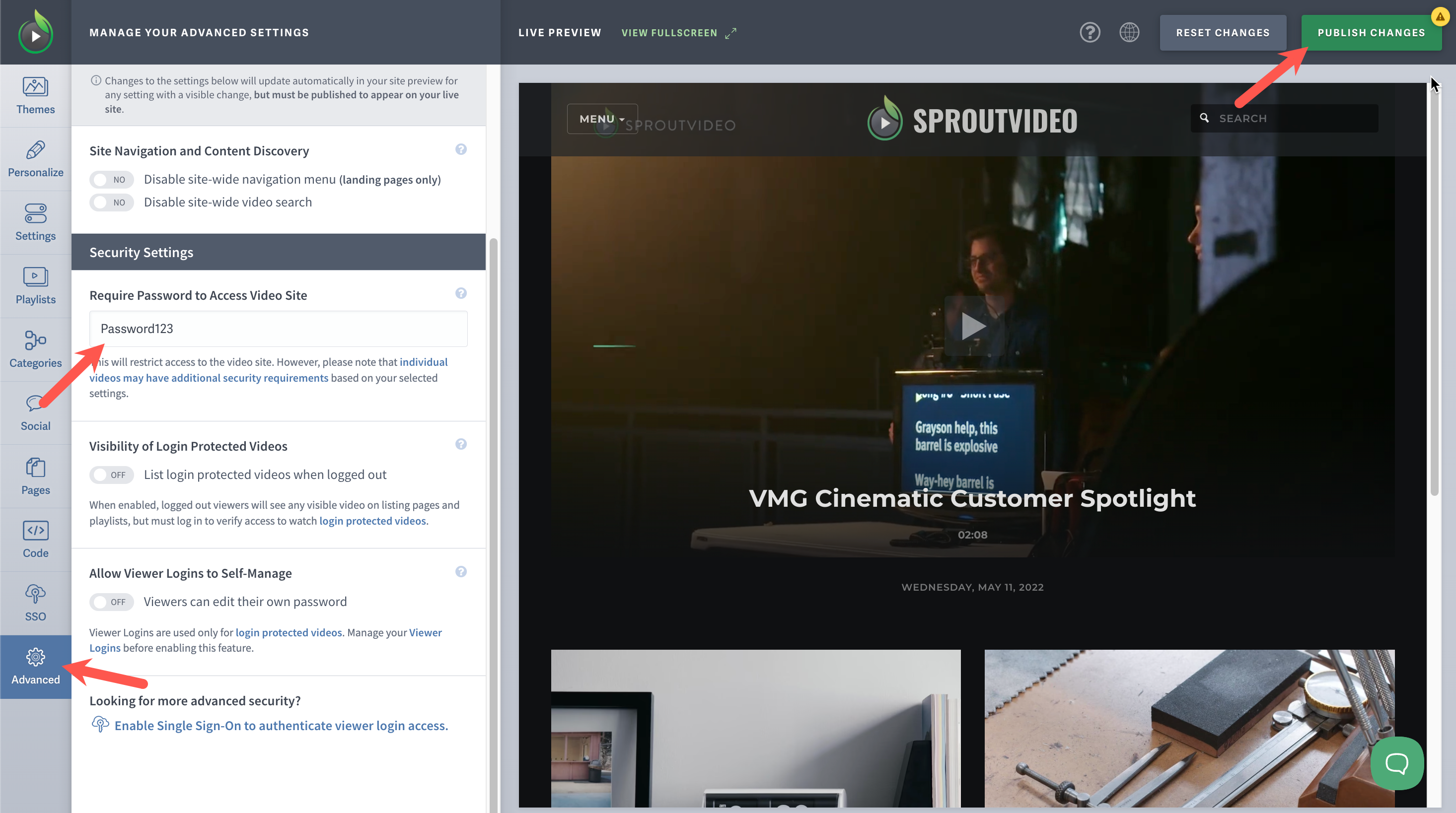password protect your video website